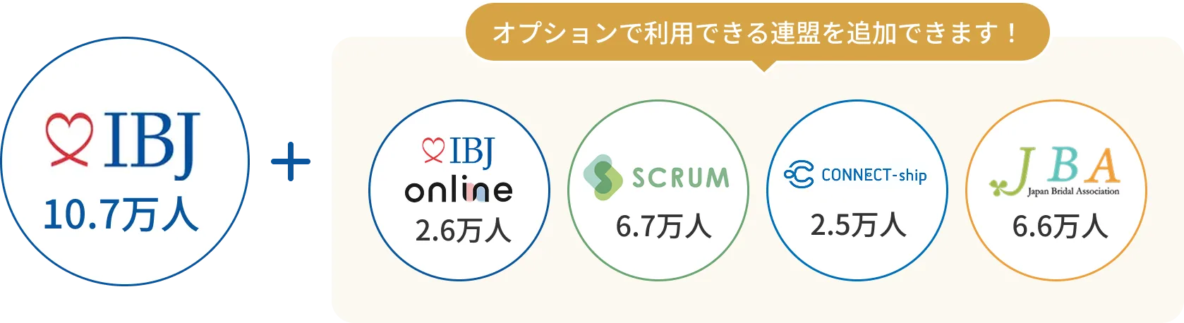 オプションで利用できる連盟一覧