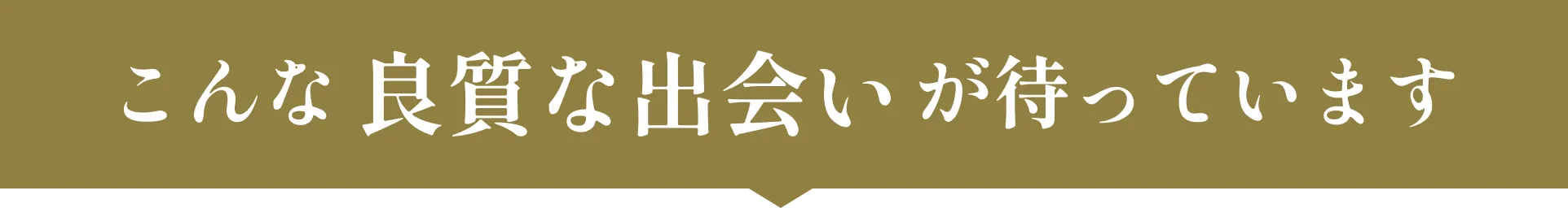 こんな良質な出会いが待っています
